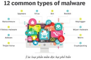 Các loại phần mềm độc hại phổ biến