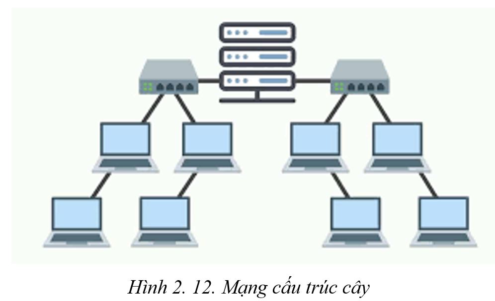 Mạng cấu trúc cây