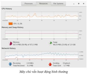 Máy chủ vẫn hoạt động bình thường