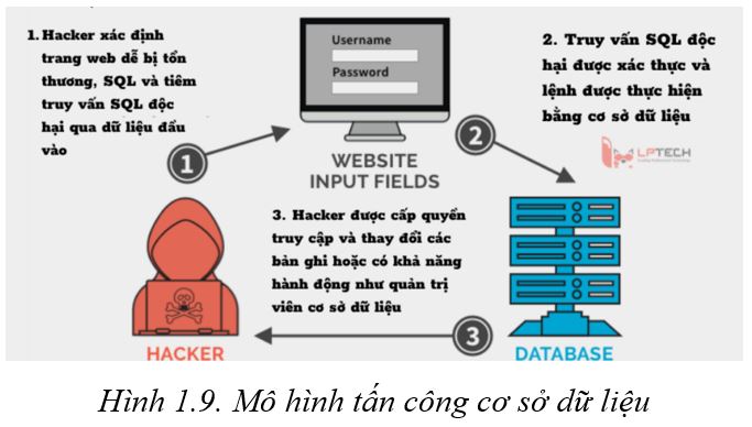 Mô hình tấn công cơ sở dữ liệu