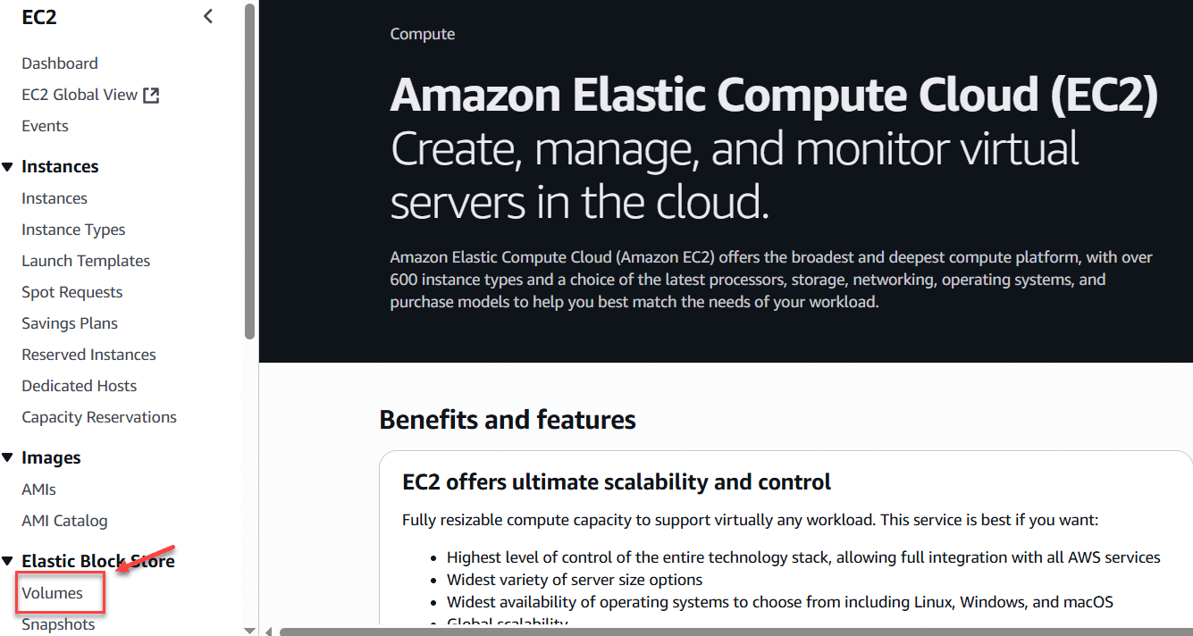 Tạo Snapshot từ EBS Volume
