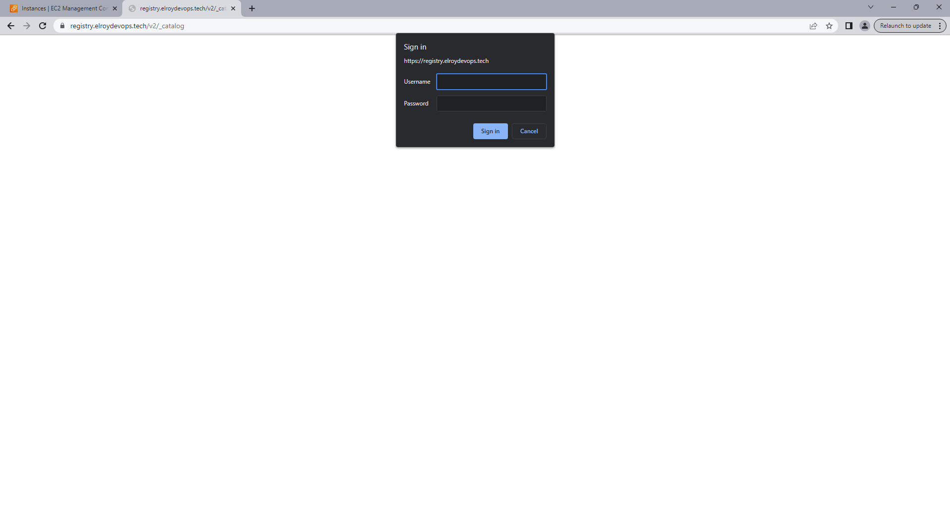 Private Docker Registry